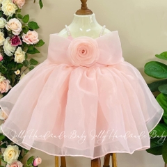 girls-flower-fluffy-dress-pink-baby-organza-dress-celebrating-your-girl-s-specia