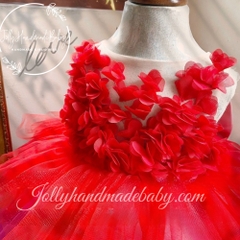 baby-flower-dress-tulle-dress-for-baby-birthday-1st-birthday-gift-personalized-d