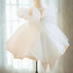 white-tulel-lace-flower-girl-dress-baby-tutu-dress-toddler-birthday-dress-3d-ros