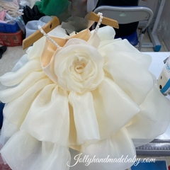 girls-flower-fluffy-dress-ivory-baby-organza-dress-celebrating-your-girl-s-speci