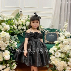 girls-flower-fluffy-dress-black-baby-organza-dress-celebrating-your-girl-s-speci
