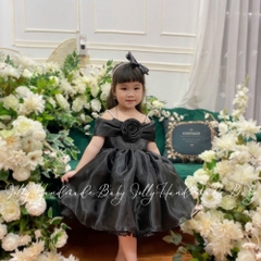 girls-flower-fluffy-dress-black-baby-organza-dress-celebrating-your-girl-s-speci