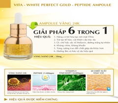 Ampoule vàng 24K The Nature Book - 30mlVita - White Perfect Gold Peptide Ampoule