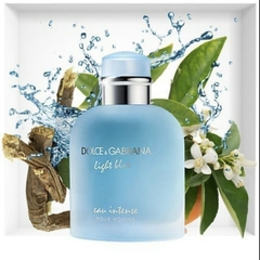 Dolce & Gabbana Light Blue Intense