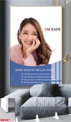 Tranh treo tường đơn dọc Tráng gương Cao Cấp Phòng Khám Nha Khoa - Bọc Răng Sứ- Nụ Cười Đẹp tỷ lệ 2:3 -23
