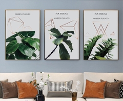 Bộ 3 tranh treo tường canvas Tráng gương cao cấp lá cây nhiệt đới phong cách Bắc Âu Tropical -9