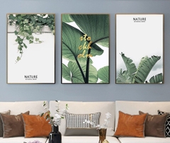 Bộ 3 tranh treo tường canvas Tráng gương cao cấp Hoa lá nhiệt đới phong cách Bắc Âu Tropical -12