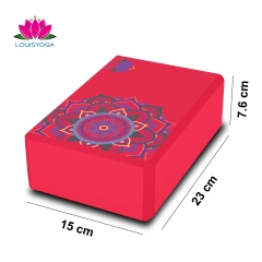 Gạch Tập Yoga - G220