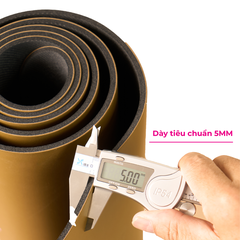 Thảm tập Yoga cao su - ASANA 25