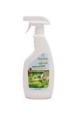 Nước Lau Kính Peace Mass Tinh Dầu Bạc Hà 700ml