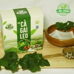 Trà túi lọc cà gai leo An Xuân 40g (20 túi lọc x 2g)