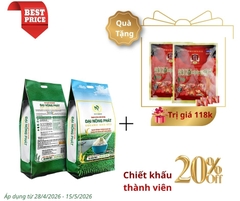 GẠO HỮU CƠ ST25 ĐẠI NÔNG PHÁT ƯU ĐÃI THÀNH VIÊN 20% VÀ TẶNG 2 GÓI KẸO SÂM HÀN QUỐC - ÁP DỤNG TỪ 28/4/2026 - 15/5/2026