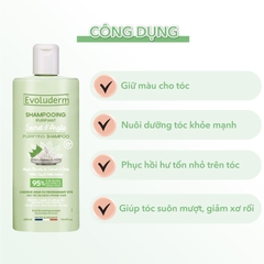 Dầu gội thiên nhiên không Silicon Evoluderm chiết xuất cây Nettle và bùn trắng dành cho tóc dầu 400ml