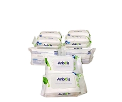 Khăn giấy ướt Anbeis
