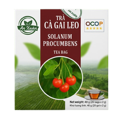 Trà túi lọc cà gai leo An Xuân 40g (20 túi lọc x 2g)