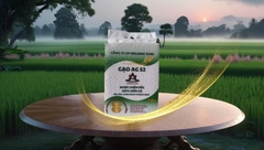GẠO 100% HỮU CƠ - GẠO AG 52 (Túi 5Kg)