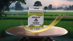 GẠO 100% HỮU CƠ - GẠO AG 39 (Túi 5Kg)