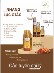 Nhang sạch 100% Thảo Dược Tịnh An 30CM (Bó 662 cây)