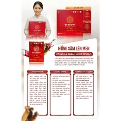 Thực phẩm bổ sung: Nước hồng sâm lên men Hàn Quốc - Fermented Korean Red Ginseng Plus, 50ml/gói, 30 gói/hộp