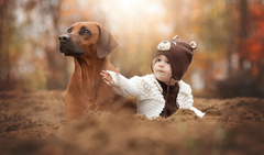 Cách trị ve chó triệt để và an toàn 100%