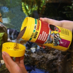 Thức ăn dành cho cá Cichlid Tanganyika - JBL PRONOVO TANGANYIKA GRANO M