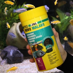 Thức ăn dành cho cá Cichlid Malawi - JBL PRONOVO MALAWI GRANO M