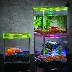 Hồ cá Betta vuông - Ista Stylish Display Case - Square Tank