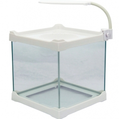 Đèn kẹp LED Mini - Ista Mini Clip LED Light - for Triangle Tank