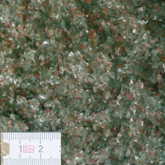 Thức ăn cá cảnh - JBL NovoGuppy