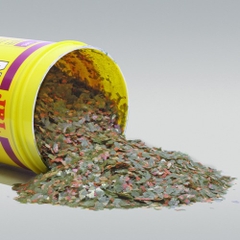 Thức ăn cá cảnh - JBL NovoGuppy