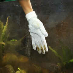 Bao tay chà hồ - JBL Cleaning Glove