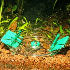 Bẫy ốc - JBL LimCollect