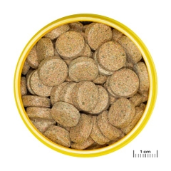 Thức ăn cá cảnh - JBL PRONOVO TAB