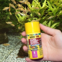 Thức ăn cá cảnh - JBL PRONOVO TAB
