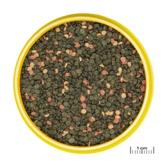 Thức ăn dành cho cá Cichlid Malawi - JBL PRONOVO MALAWI GRANO M