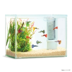 Hồ bộ AquaClear Set 300 - Gex AquaClear Set 300