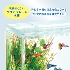 Hồ bộ AquaClear Set 300 - Gex AquaClear Set 300