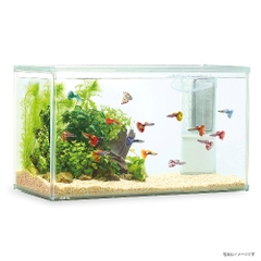Hồ bộ AquaClear Set 500 - Gex AquaClear Set 500