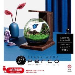 Bộ hồ Aqua Perco ( Đen )  - Glass Aqua PERCO B-Dark Wood