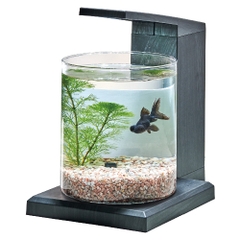 Bộ hồ Aqua Perco ( Nâu ) - Glass Aqua PERCO C-Charcoal Black