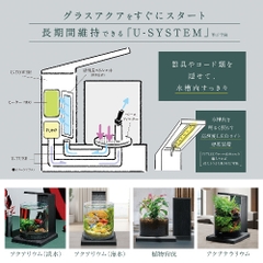 Bộ hồ Aqua Perco ( Nâu ) - Glass Aqua PERCO C-Charcoal Black