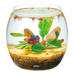Hồ cá tiểu cảnh thủy tinh - Gex Glass Aqua Drop