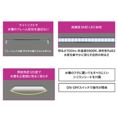 Đèn Clear LED Flatty 600 dùng cho hồ 60cm - Clear LED Flatty 600