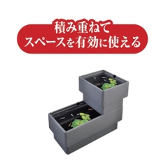 Chậu bằng Foam vuông size M nuôi cá Medaka - Gex Killifish Foam Case M  ( 35 x 30 x 29cm )