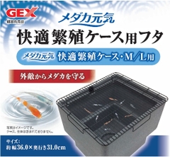 Nắp lưới cho chậu bằng Foam size M/L nuôi cá Medaka