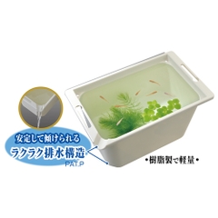 Chậu nhựa vuông 350 nuôi cá Medaka - Gex Killifish Box 350 (35.5 x 21.5 x 20cm)