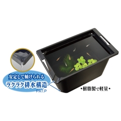 Chậu nhựa vuông 350 nuôi cá Medaka - Gex Killifish Box 350 (35.5 x 21.5 x 20cm)