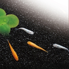 Nền thủy sinh dành cho cá Medaka - Gex Onyx Black Soil for Killifish