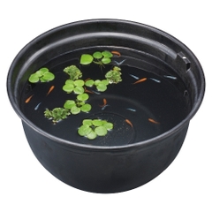 Chậu nhựa tròn 320 nuôi cá Medaka - Gex Killifish Bowl 320 ( 32 x 32 x 20cm )
