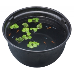 Chậu nhựa tròn 370 nuôi cá Medaka - Gex Killifish Bowl 370 ( 37 x 37 x 20cm )